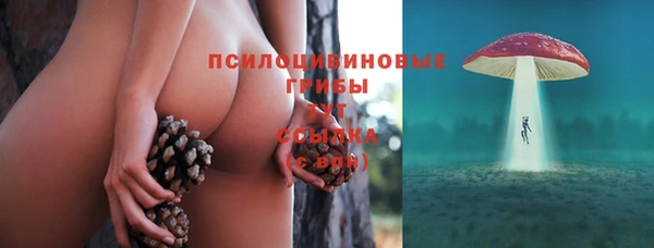 круглые Богданович