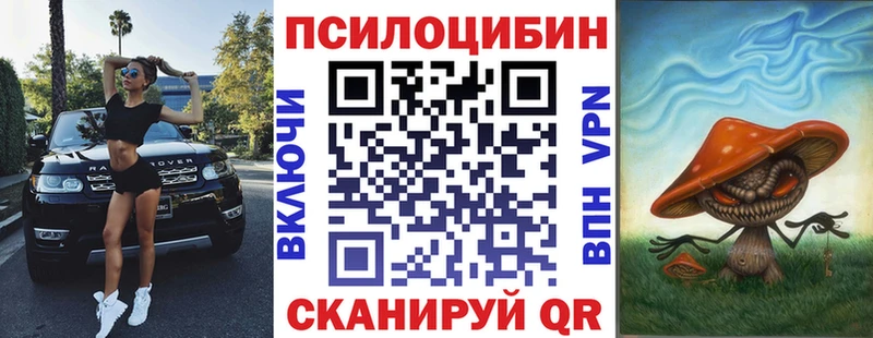 Псилоцибиновые грибы ЛСД  Купить закладки  Бородино 