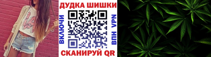 Купить Бородино Канабис сатива